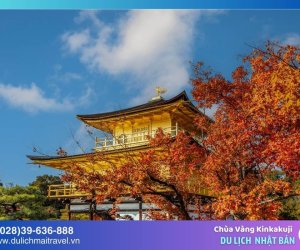 Chùa vàng Kinkakuji - Di sản văn hóa lấp lánh của Nhật Bản