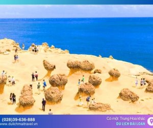 Công viên địa chất Dã Liễu, Kỳ quan độc đáo của Đài Loan