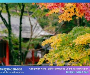 Công viên Nara - Biểu tượng của cố đô Nara Nhật Bản