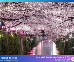 Sự Quyến Rũ Của Vườn Quốc Gia Shinjuku Gyoen Nhật Bản