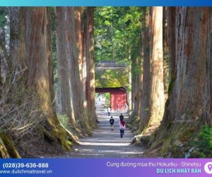 Khám phá cung đường mùa thu Hokuriku - Shinetsu tại tỉnh Nagano, Nhật Bản