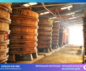 Hành trình đi tìm “giọt ngọc” của đảo ngọc: Khám phá nhà thùng nước mắm Phú Quốc