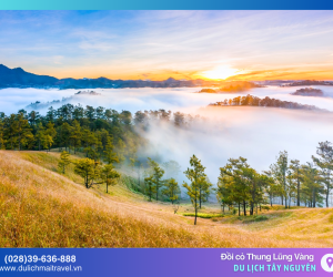 Top 5 địa điểm săn mây tại Đà Lạt - Trải nghiệm nhất định phải thử 