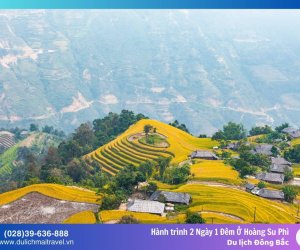 Trải Nghiệm Mùa Vàng: Hành Trình 2 Ngày 1 Đêm Ở Hoàng Su Phì