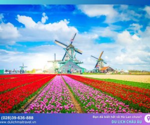 Du lịch Hà Lan đâu chỉ có Amsterdam? Bất ngờ với những điều bạn chưa biết!
