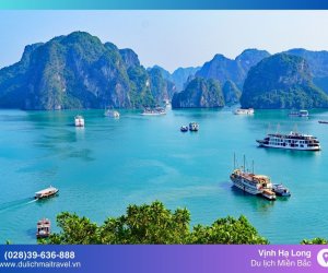 Du lịch Vịnh Hạ Long - Đắm chìm trong vẻ đẹp kỳ vĩ