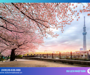 Top 10 địa điểm ngắm hoa anh đào tuyệt đẹp tại Nhật Bản bạn nhất định phải ghé thăm