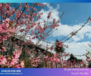 Du Lịch Tây Bắc - Vẻ Đẹp Diệu Kỳ Những Mùa Hoa