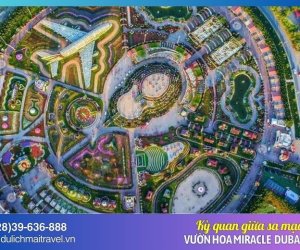 Miracle Garden - Vườn hoa Dubai kỳ quan hoa giữa lòng sa mạc
