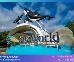Khám phá SeaWorld Abu Dhabi - Công viên chủ đề sinh vật biển lớn nhất thế giới