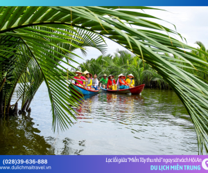 Rừng dừa Bảy Mẫu – Bản giao hưởng xanh mướt giữa lòng xứ Quảng