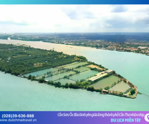 Lạc bước giữa ốc đảo xanh Cồn Sơn – Tuyệt tác miệt vườn sông nước Cửu Long