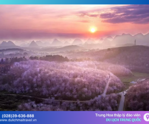 Mùa hoa anh đào ở Trung Quốc có đẹp như Nhật Hàn không?