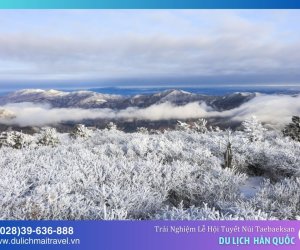 Nét Đẹp Của Mùa Đông Hàn Quốc - Trải Nghiệm Lễ Hội Tuyết Núi Taebaeksan 