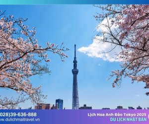 Lịch Hoa Anh Đào Tokyo 2025: Dự Báo Ngày Và Những Địa Điểm Ngắm Hoa Đẹp Nhất