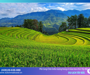 Tháng 10 có gì hay – đi đâu cho trọn mùa đẹp?