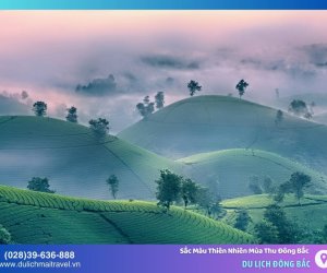 Mùa Thu Đông Bắc: Khám Phá Sắc Màu Rực Rỡ Của Thiên Nhiên