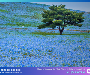 Khám phá mùa xuân Nhật Bản qua 5 sắc hoa quyến rũ