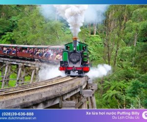 Công viên Dandenong lá phổi xanh của thành phố Melbourne