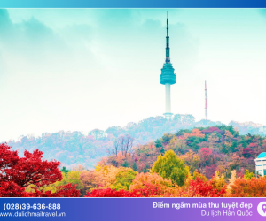 Mùa lá vàng, lá đỏ tuyệt đẹp ở Hàn Quốc