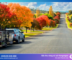 Du lịch Úc Mùa Thu - Những địa điểm tuyệt vời để ngắm mùa thu
