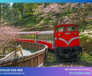 Chinh phục núi Alishan (A Lý Sơn), Đài Loan