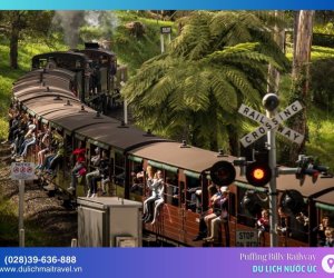 Tàu hơi nước Puffing Billy - Chuyến tàu thời gian xuyên Rừng Dandenong ở Melbourne