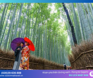 Rừng Tre Sagano, thiên đường tre xanh của Nhật Bản làm mê mẩn du khách