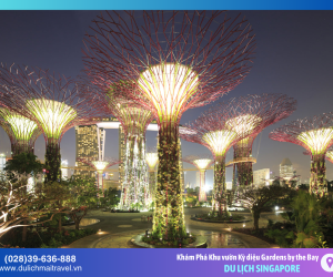 Khám Phá Gardens by the Bay - Khu Vườn Kỳ Diệu Giữa Lòng Singapore