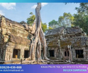 Đền Ta Prohm Campuchia – Khám phá bí mật ngôi đền cổ