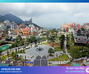 Du lịch Tam Đảo 2025: Trải nghiệm 