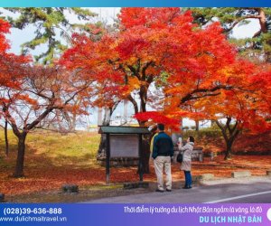 Thời điểm lý tưởng để du lịch Nhật Bản ngắm lá vàng, lá đỏ