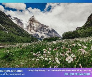 Thung Lũng Shangri La - Thiên Đường Bí Ẩn Giữa Núi Rừng Tây Tạng