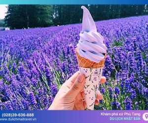 Những lý do bạn nên du lịch Nhật Bản vào mùa hè 