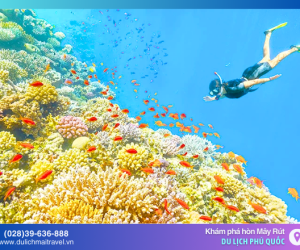 Khám phá Hòn Mây Rút - Điểm đến lặn ngắm san hô đẹp nhất Phú Quốc