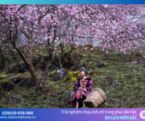 Đi Cao Mã Pờ – Hà Giang ngắm hoa anh đào tháng 3 đẹp như tranh