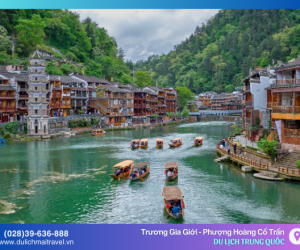 Vì sao bạn nên đến Trương Gia Giới - Phượng Hoàng ngay một lần trong đời?