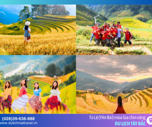 Check-in mùa vàng Tây Bắc: Những điểm ngắm ruộng bậc thang đẹp nhất 2026