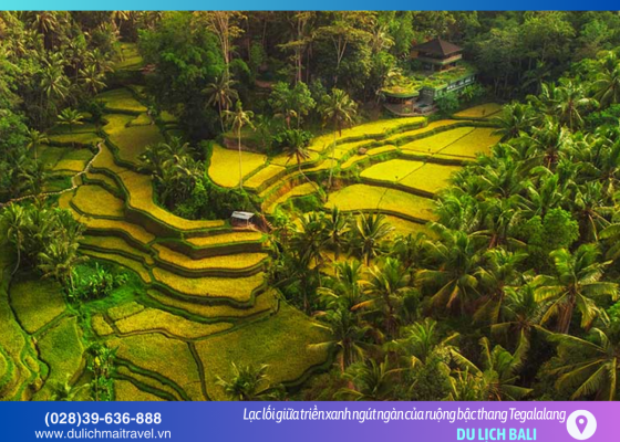 Tegalalang – nơi những đường cong của đất trời hòa quyện cùng mây gió