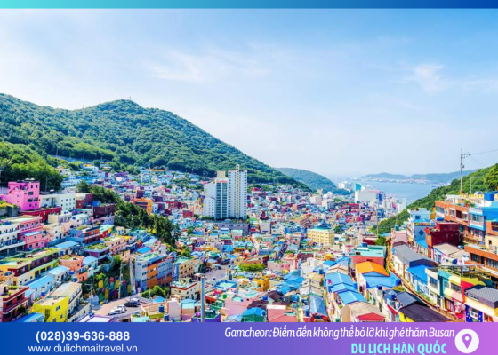 Làng Gamcheon: Nơi mỗi bức tường đều kể một câu chuyện cổ tích