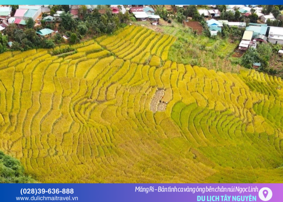 Ruộng bậc thang Măng Ri: Những nấc thang lên thiên đường giữa đại ngàn Tây Nguyên