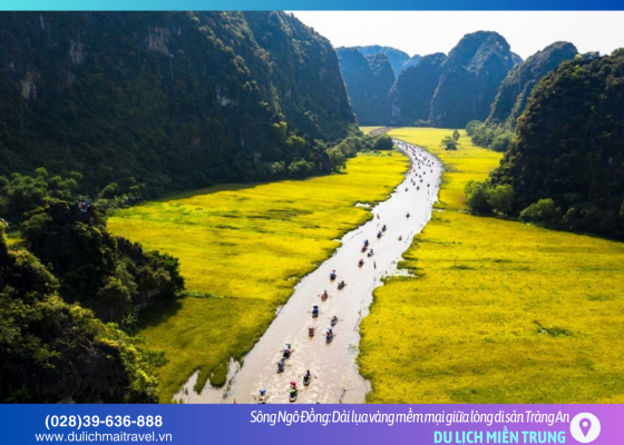 Sông Ngô Đồng – Bức tranh thủy mặc sống động của đại ngàn Ninh Bình