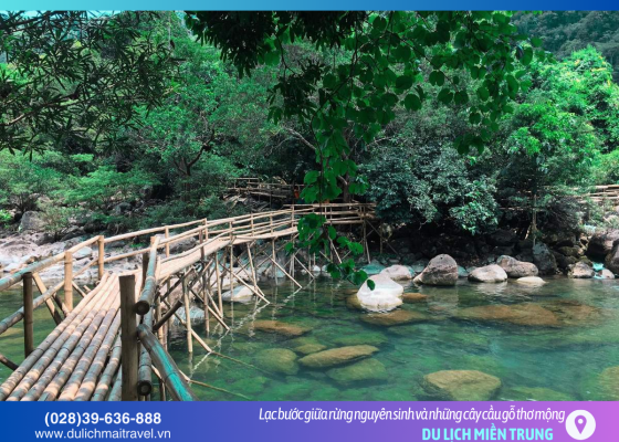 Suối Moọc: “Máy điều hòa khổng lồ” 18°C giữa lòng di sản Phong Nha