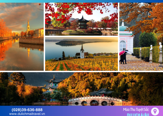 Khám Phá Mùa Thu Tuyệt Sắc Điểm Đến Tự Túc Ngắm Lá Vàng Lý Tưởng