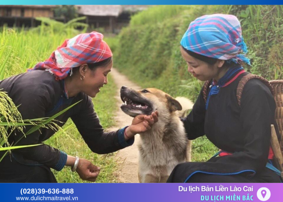 Du lịch Bản Liền Lào Cai: Trải nghiệm thiên nhiên & văn hóa bản địa Tây Bắc