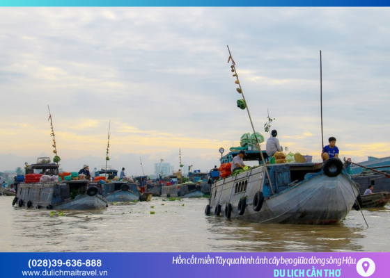 “Cây bẹo” – Phương thức quảng cáo “không lời” độc nhất vô nhị ở Miền Tây