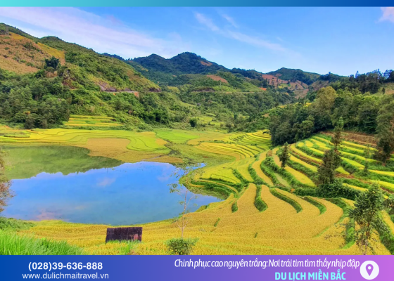 Bắc Hà – Bản tình ca mùa hoa trắng