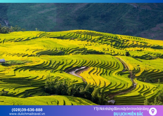 Y Tý (Lào Cai) – “Xứ sở mây ngàn và những ngôi nhà nấm”