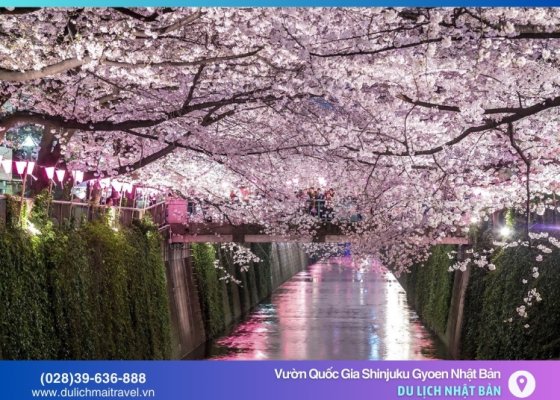 Sự Quyến Rũ Của Vườn Quốc Gia Shinjuku Gyoen Nhật Bản