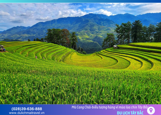 Tháng 10 có gì hay – đi đâu cho trọn mùa đẹp?